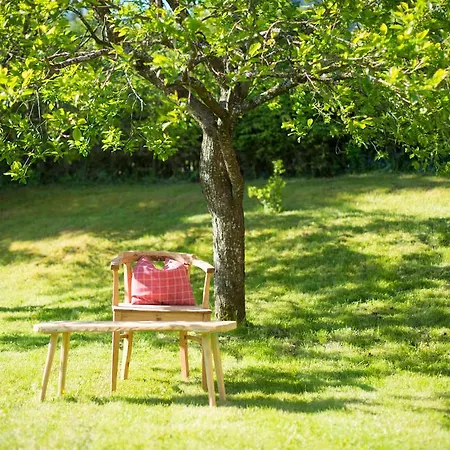 بيت للعطل شميدهاوسل *