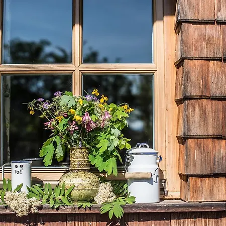 شميدهاوسل *