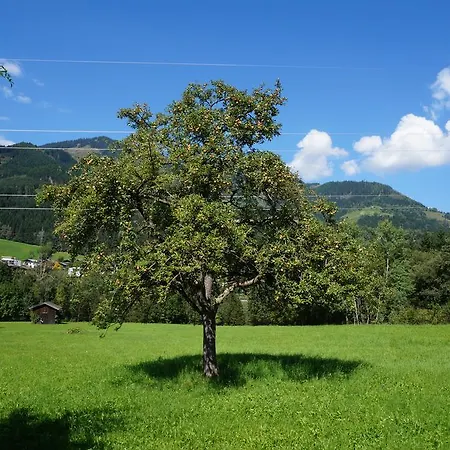 בית נופש Schmiedhaeusl